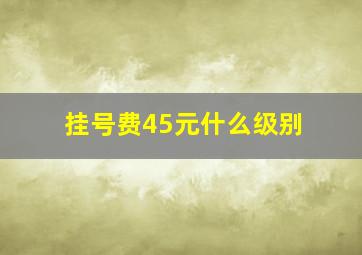 挂号费45元什么级别