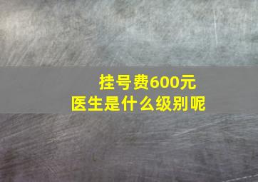 挂号费600元医生是什么级别呢