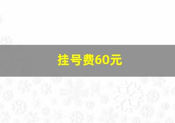 挂号费60元