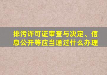 排污许可证审查与决定、信息公开等应当通过什么办理