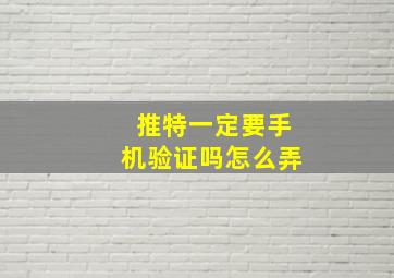 推特一定要手机验证吗怎么弄