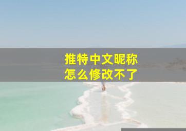 推特中文昵称怎么修改不了