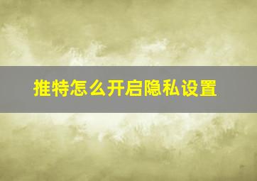 推特怎么开启隐私设置