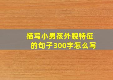 描写小男孩外貌特征的句子300字怎么写