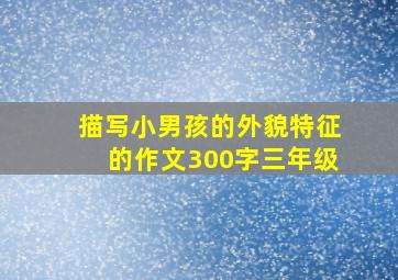 描写小男孩的外貌特征的作文300字三年级