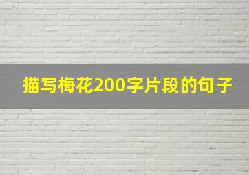 描写梅花200字片段的句子