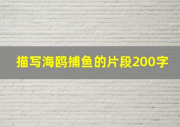 描写海鸥捕鱼的片段200字