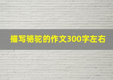 描写骆驼的作文300字左右