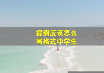 提纲应该怎么写格式中学生