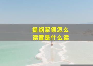 提纲挈领怎么读音是什么读