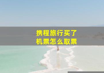 携程旅行买了机票怎么取票