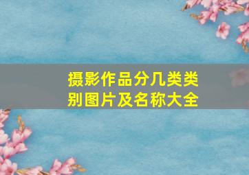 摄影作品分几类类别图片及名称大全