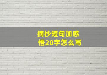 摘抄短句加感悟20字怎么写