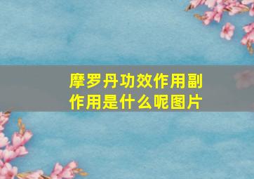 摩罗丹功效作用副作用是什么呢图片