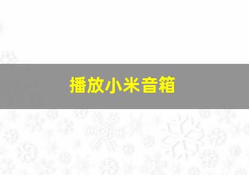 播放小米音箱