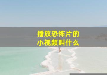 播放恐怖片的小视频叫什么