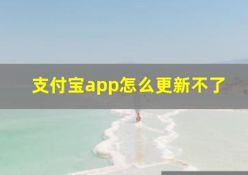 支付宝app怎么更新不了