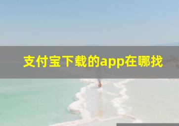 支付宝下载的app在哪找