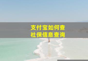 支付宝如何查社保信息查询