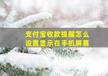 支付宝收款提醒怎么设置显示在手机屏幕