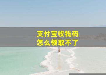 支付宝收钱码怎么领取不了