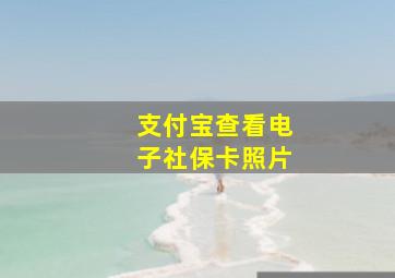 支付宝查看电子社保卡照片