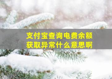 支付宝查询电费余额获取异常什么意思啊