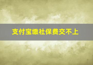 支付宝缴社保费交不上