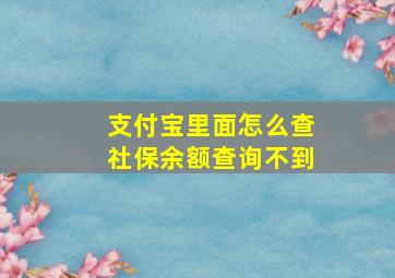 支付宝里面怎么查社保余额查询不到