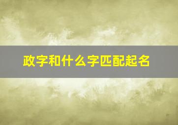 政字和什么字匹配起名