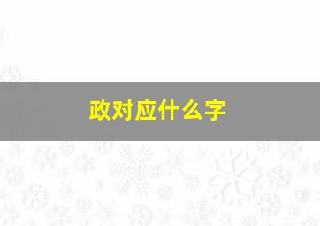 政对应什么字