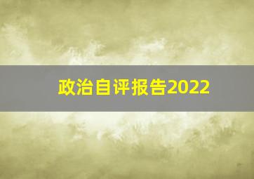 政治自评报告2022