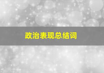 政治表现总结词