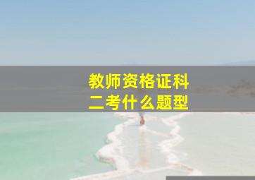 教师资格证科二考什么题型