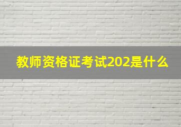 教师资格证考试202是什么