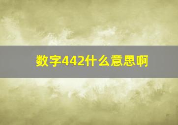 数字442什么意思啊