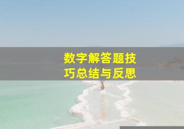 数字解答题技巧总结与反思