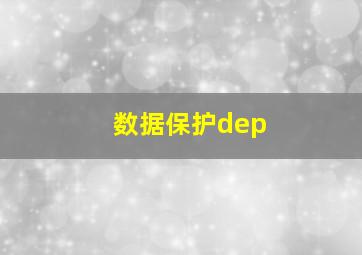 数据保护dep