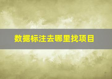 数据标注去哪里找项目