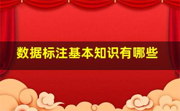 数据标注基本知识有哪些