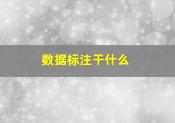 数据标注干什么