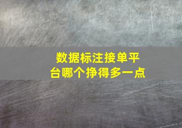 数据标注接单平台哪个挣得多一点