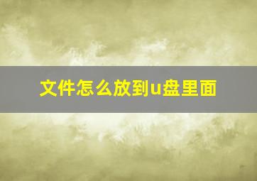 文件怎么放到u盘里面