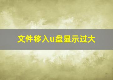 文件移入u盘显示过大