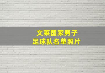 文莱国家男子足球队名单照片