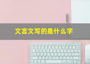 文言文写的是什么字