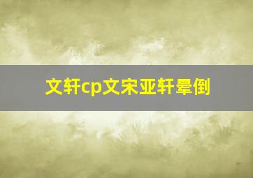 文轩cp文宋亚轩晕倒