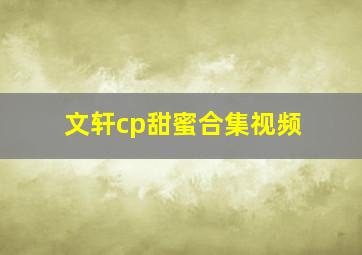 文轩cp甜蜜合集视频