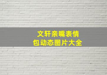 文轩亲嘴表情包动态图片大全