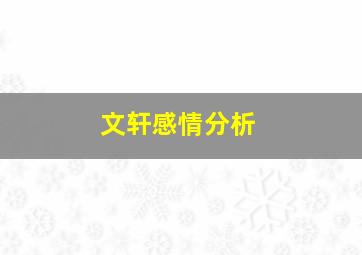 文轩感情分析